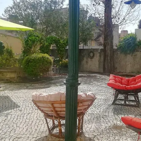 Jacaranda * Lisbon